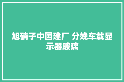 旭硝子中国建厂 分娩车载显示器玻璃