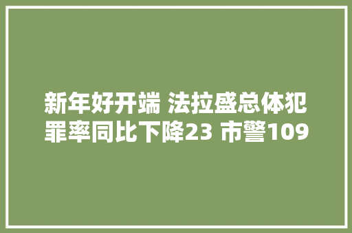 新年好开端 法拉盛总体犯罪率同比下降23 市警109分局举办首次远程警平易近会