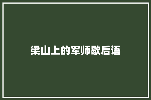 梁山上的军师歇后语