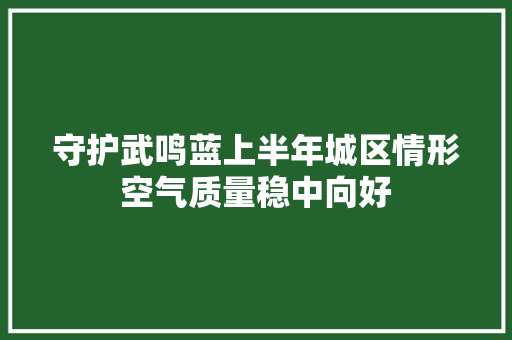 守护武鸣蓝上半年城区情形空气质量稳中向好