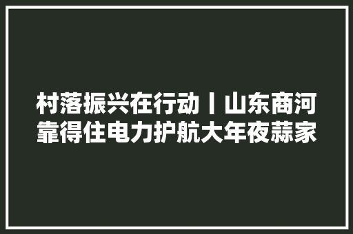 村落振兴在行动丨山东商河靠得住电力护航大年夜蒜家当成长 助力村落振兴 汽车知识