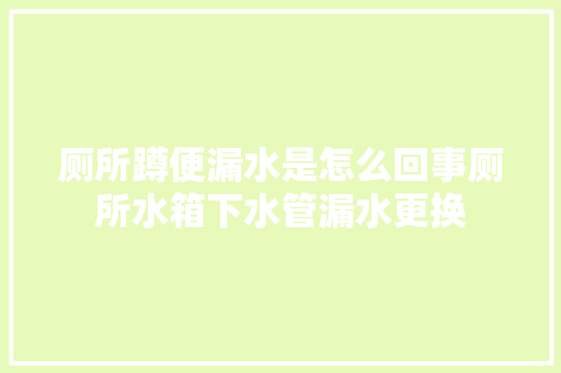 厕所蹲便漏水是怎么回事厕所水箱下水管漏水更换 汽车知识