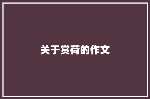 关于赏荷的作文
