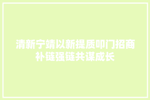 清新宁靖以新提质叩门招商补链强链共谋成长