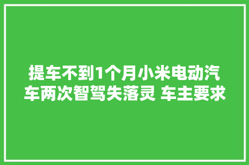 提车不到1个月小米电动汽车两次智驾失落灵 车主要求厂家出具故障申报 汽车知识