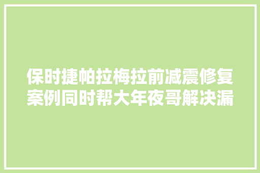 保时捷帕拉梅拉前减震修复案例同时帮大年夜哥解决漏油问题。