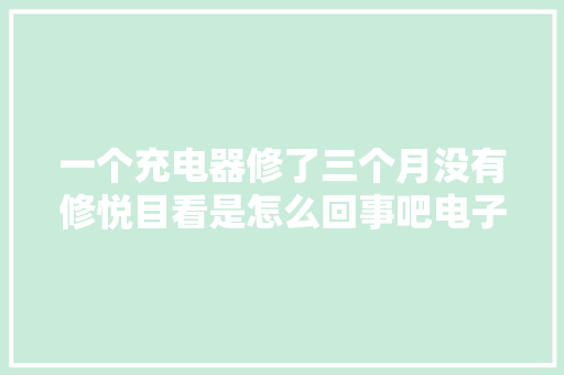 一个充电器修了三个月没有修悦目看是怎么回事吧电子