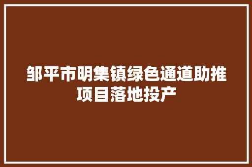 邹平市明集镇绿色通道助推项目落地投产