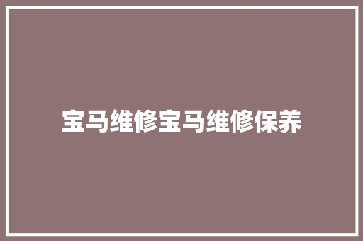 宝马维修宝马维修保养