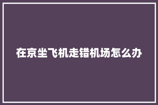 在京坐飞机走错机场怎么办