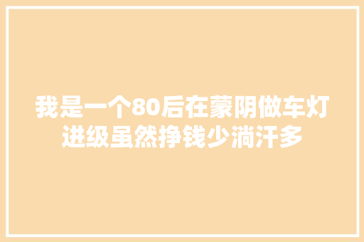 我是一个80后在蒙阴做车灯进级虽然挣钱少淌汗多