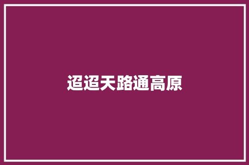迢迢天路通高原
