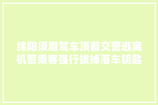绵阳须眉驾车顶着交警逃离机警乘客强行拔掉落车钥匙