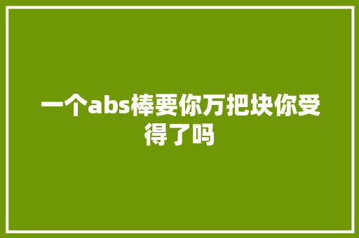 一个abs棒要你万把块你受得了吗