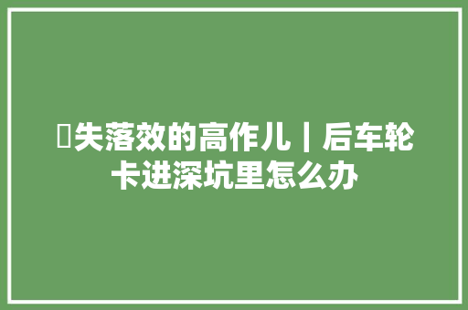 ​失落效的高作儿｜后车轮卡进深坑里怎么办