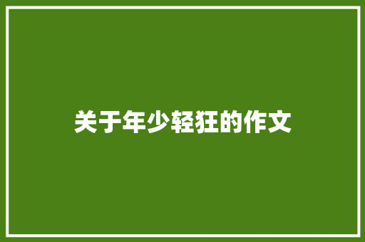 关于年少轻狂的作文