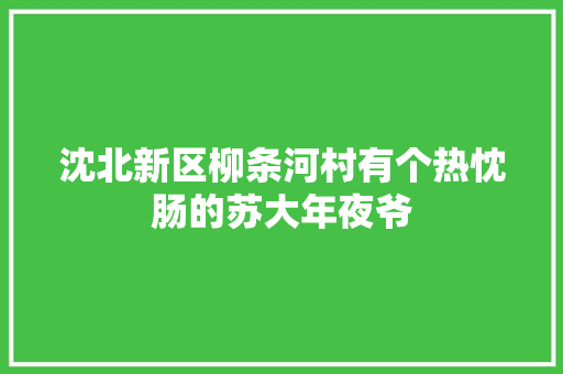 沈北新区柳条河村有个热忱肠的苏大年夜爷 汽车知识