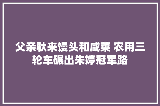 父亲驮来馒头和咸菜 农用三轮车碾出朱婷冠军路 汽车知识