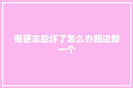 奇葩车胎坏了怎么办路边卸一个 汽车知识