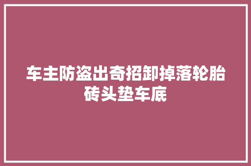 车主防盗出奇招卸掉落轮胎砖头垫车底