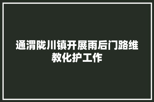 通渭陇川镇开展雨后门路维教化护工作