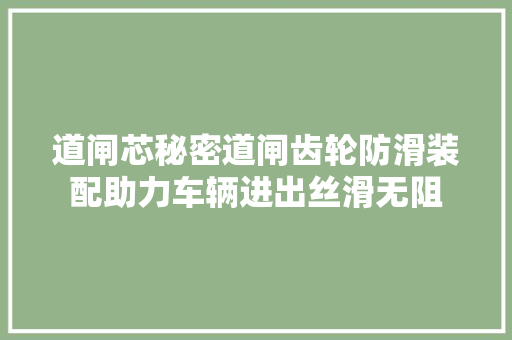 道闸芯秘密道闸齿轮防滑装配助力车辆进出丝滑无阻