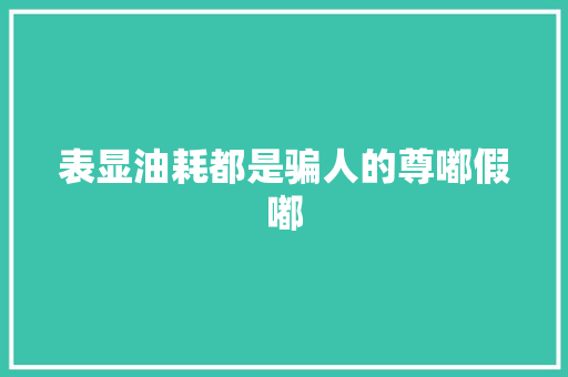 表显油耗都是骗人的尊嘟假嘟