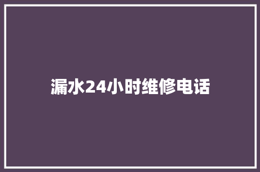漏水24小时维修电话