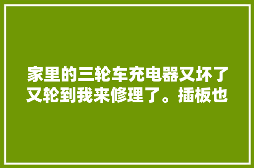 家里的三轮车充电器又坏了又轮到我来修理了。插板也烧了