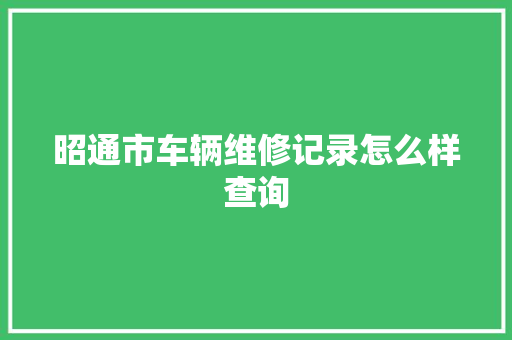 昭通市车辆维修记录怎么样查询