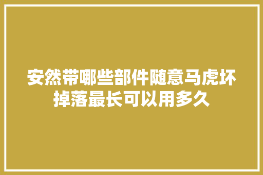 安然带哪些部件随意马虎坏掉落最长可以用多久