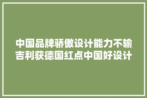 中国品牌骄傲设计能力不输吉利获德国红点中国好设计奖