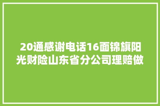 20通感谢电话16面锦旗阳光财险山东省分公司理赔做事荣誉单