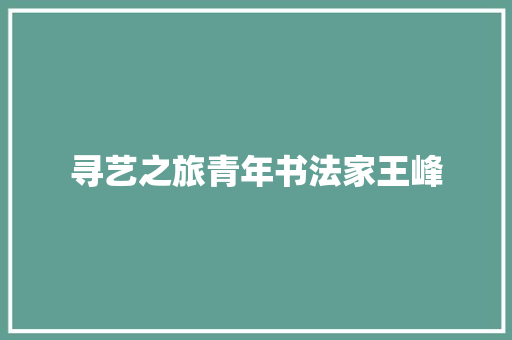 寻艺之旅青年书法家王峰