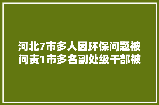 河北7市多人因环保问题被问责1市多名副处级干部被传递