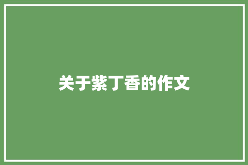 关于紫丁香的作文