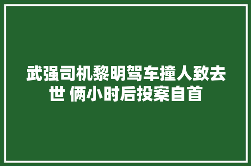 武强司机黎明驾车撞人致去世 俩小时后投案自首
