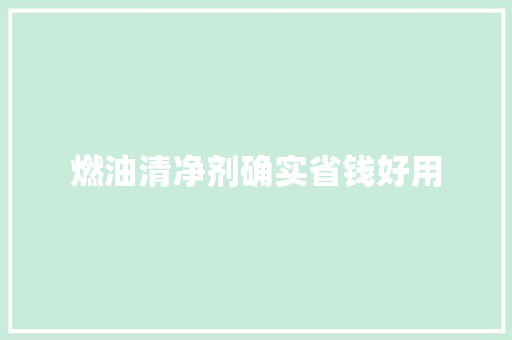 燃油清净剂确实省钱好用