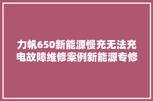 力帆650新能源慢充无法充电故障维修案例新能源专修刘远游