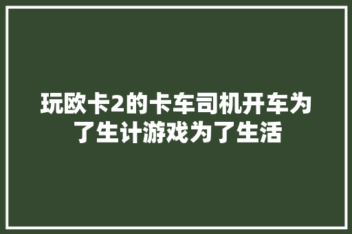 玩欧卡2的卡车司机开车为了生计游戏为了生活