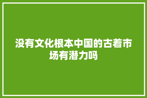 没有文化根本中国的古着市场有潜力吗