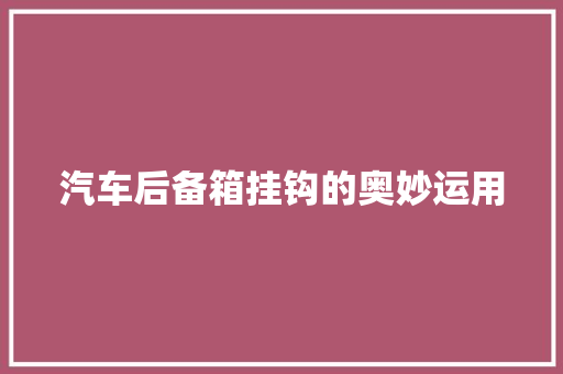 汽车后备箱挂钩的奥妙运用