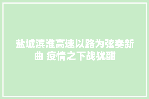 盐城滨淮高速以路为弦奏新曲 疫情之下战犹酣