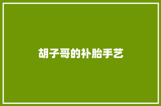 胡子哥的补胎手艺