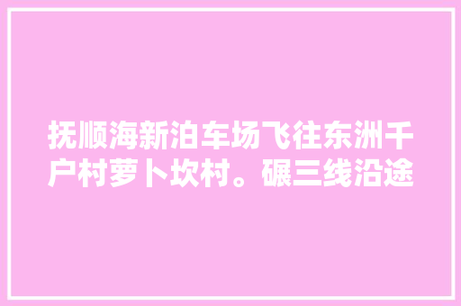 抚顺海新泊车场飞往东洲千户村萝卜坎村。碾三线沿途耿家街 汽车知识