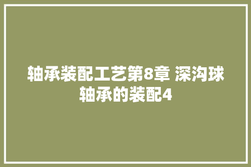 轴承装配工艺第8章 深沟球轴承的装配4