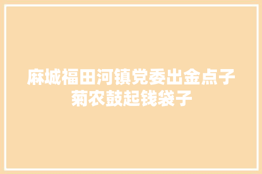 麻城福田河镇党委出金点子菊农鼓起钱袋子