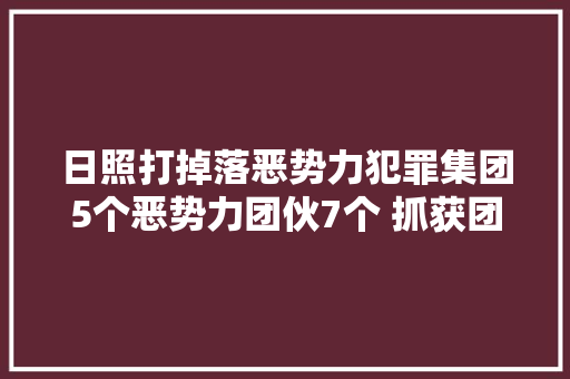 日照打掉落恶势力犯罪集团5个恶势力团伙7个 抓获团伙成员80人