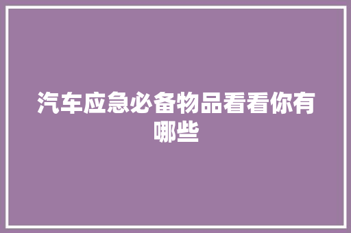 汽车应急必备物品看看你有哪些