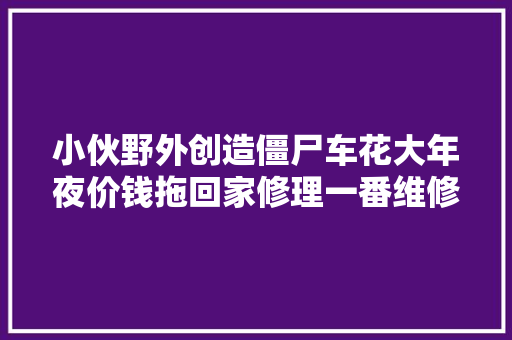 小伙野外创造僵尸车花大年夜价钱拖回家修理一番维修工都说赚大年夜了